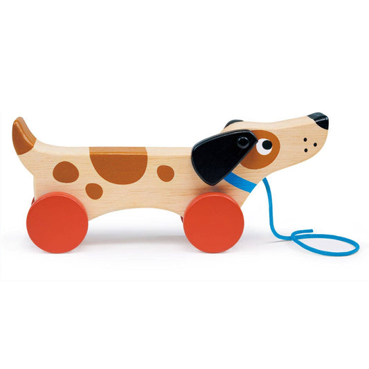 Wobbles the Pup