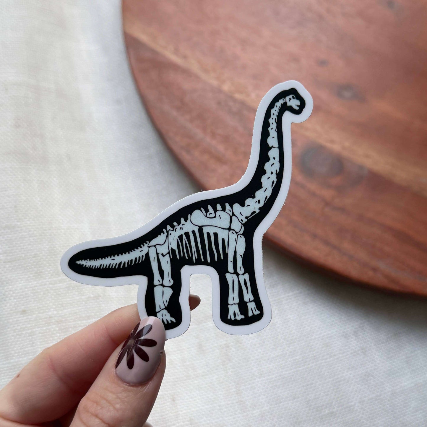 Brontosaurus fossil kids sticker illustrated dinosaur front view