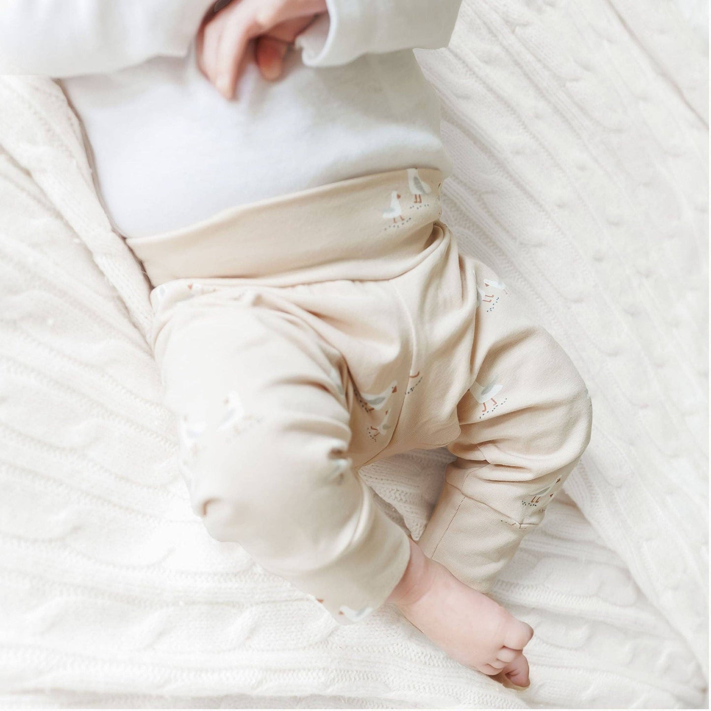 Seagull Cotton Knit Leggings