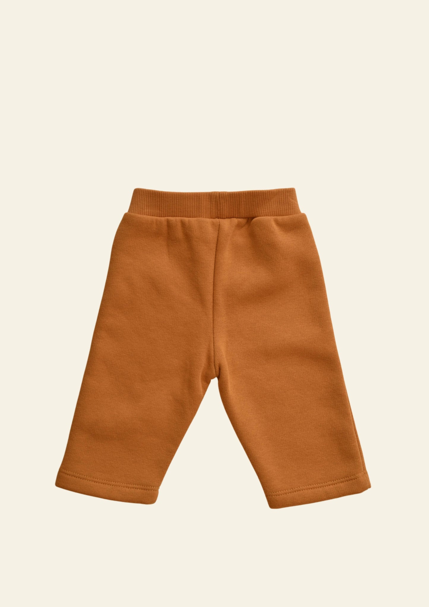 Pumpkin Spice Fleece Lined Sweats