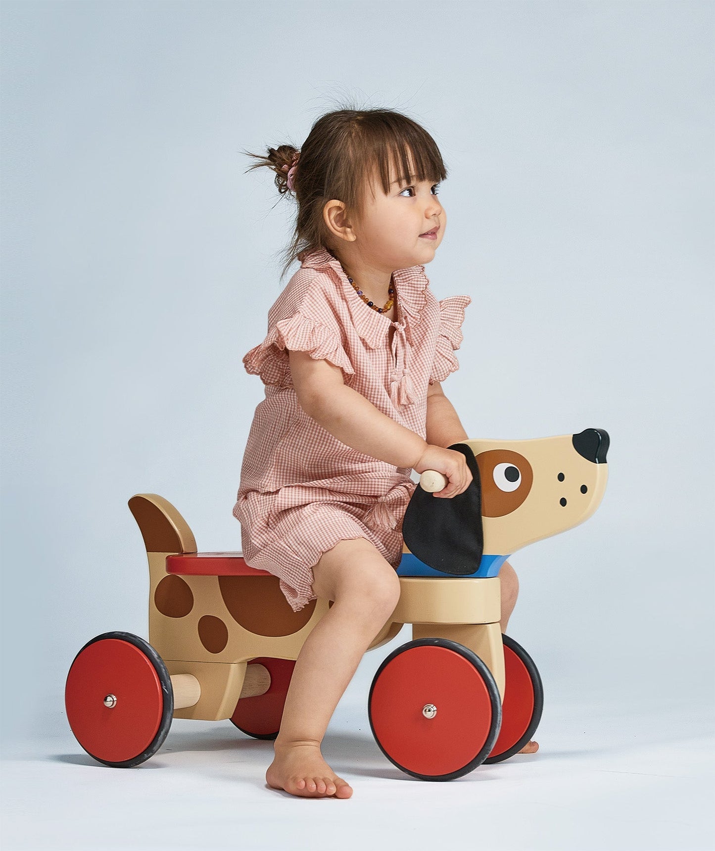 Ride On Puppy