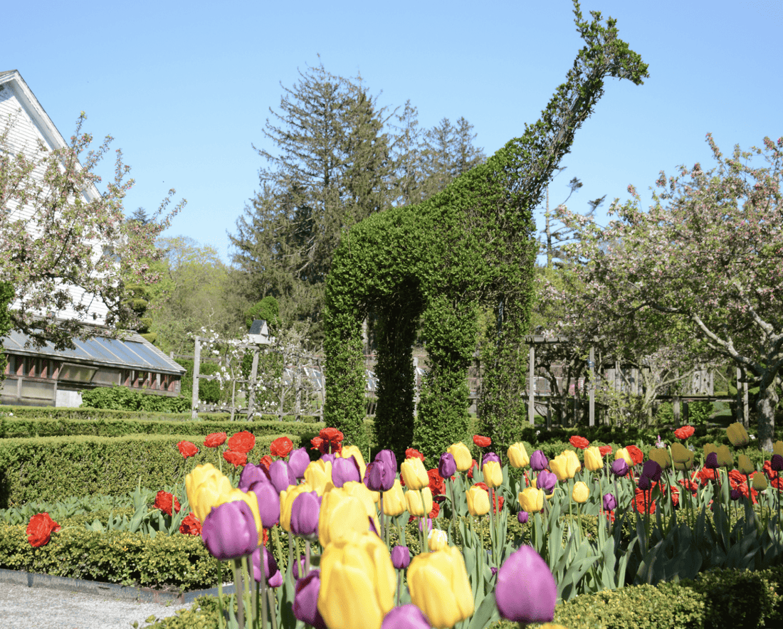 Newport With Kids in Spring: What's Actually Worth Your Time