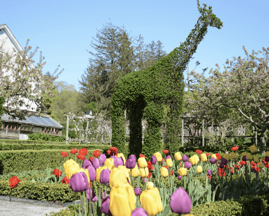 Newport With Kids in Spring: What's Actually Worth Your Time