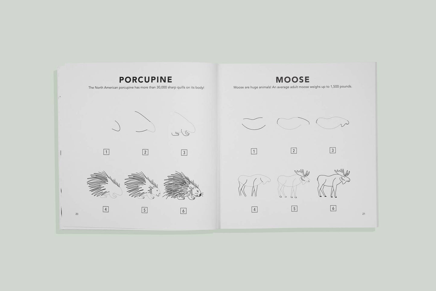 Woodland Creatures: Kids How to Draw