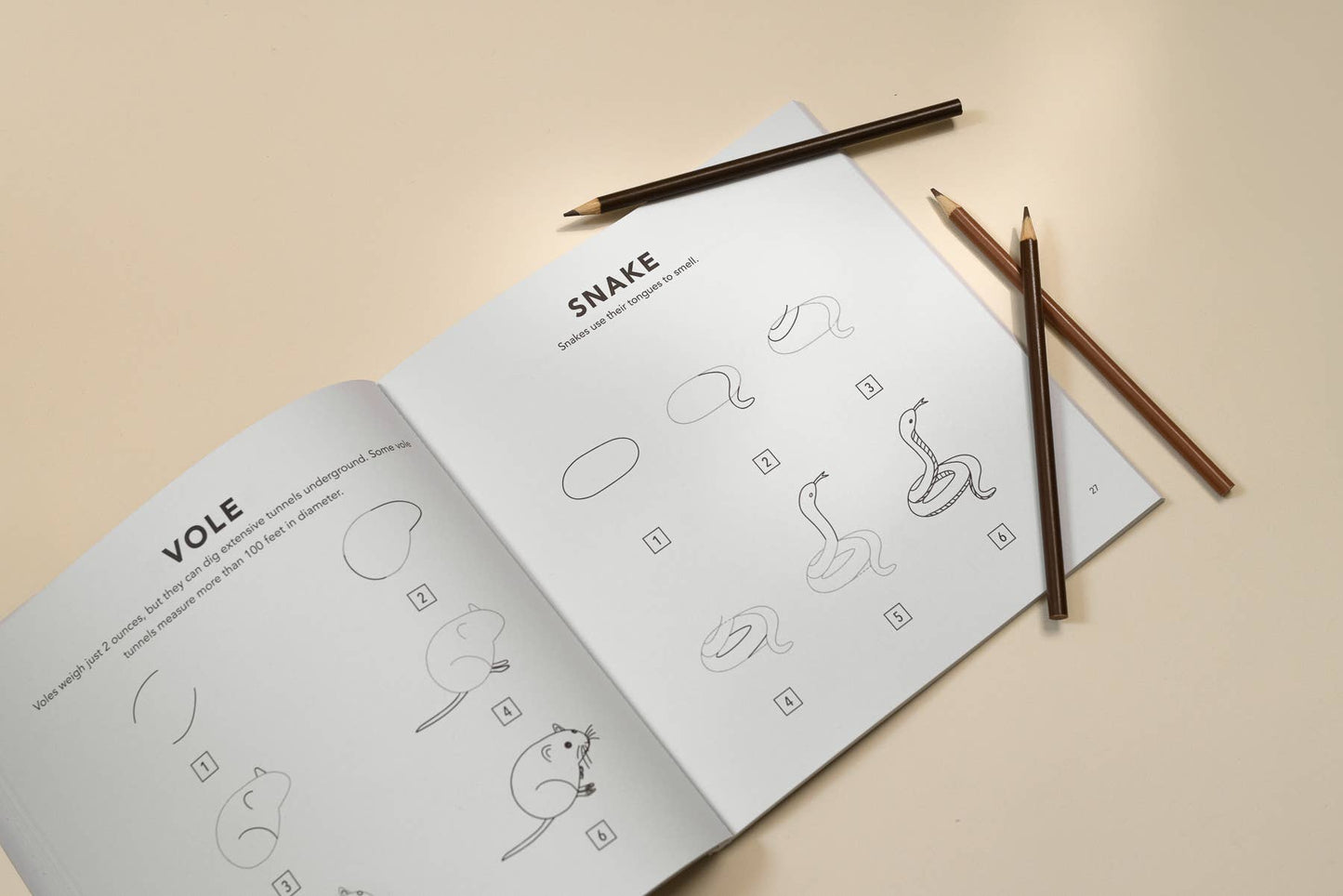 Woodland Creatures: Kids How to Draw