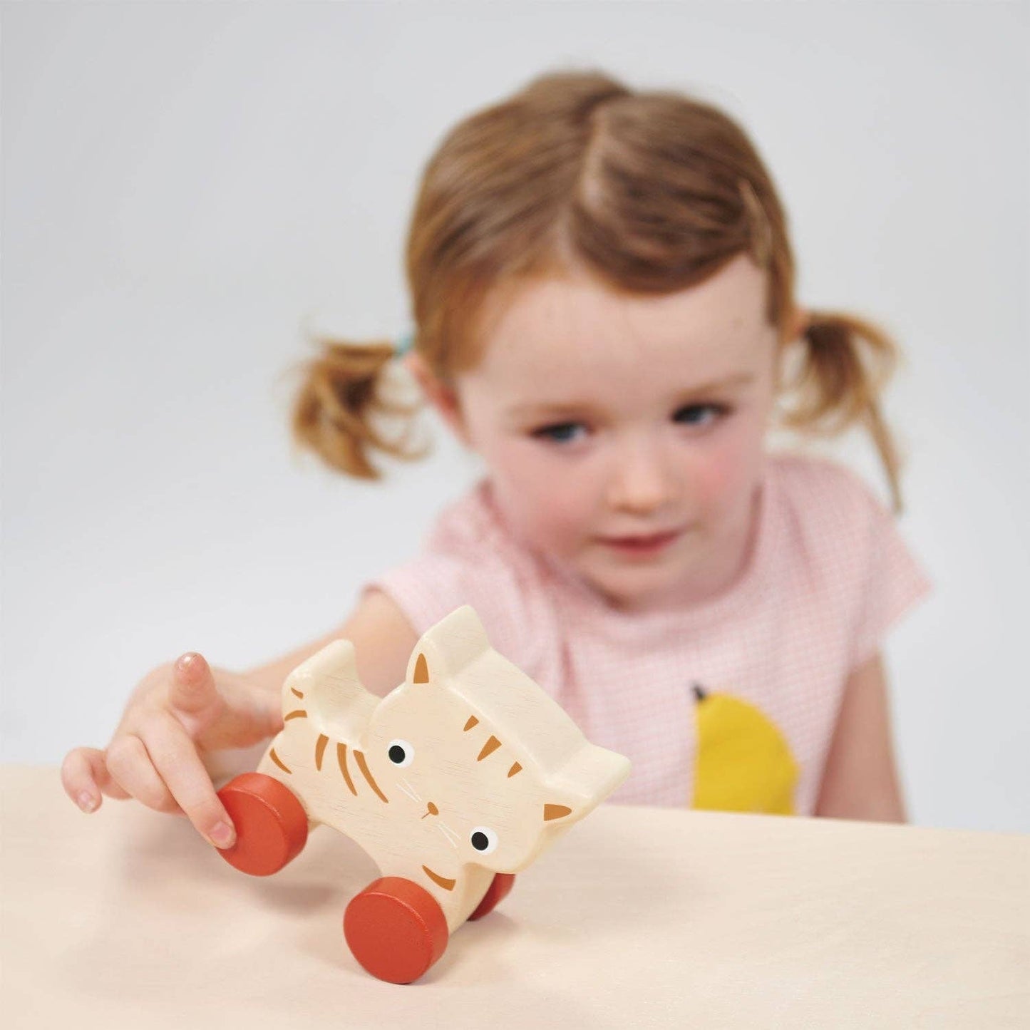 Kitty Cat Push Toy