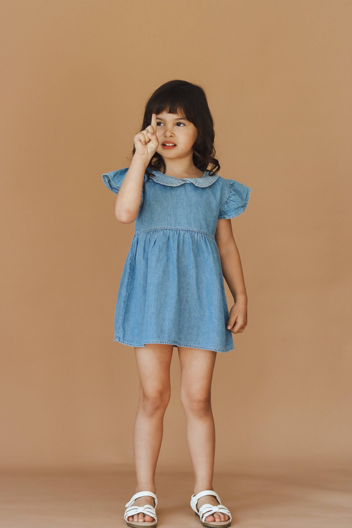 Tulip Denim Dress