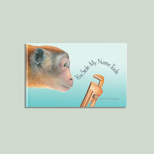 You Stole My Name: Tools board book
