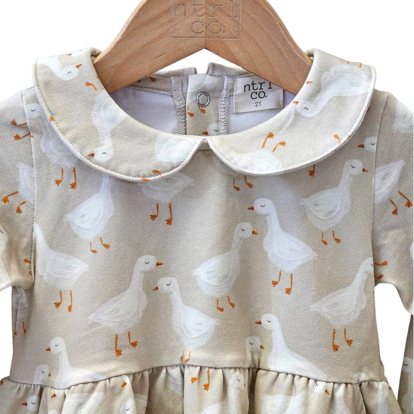 Silly Goose Dress