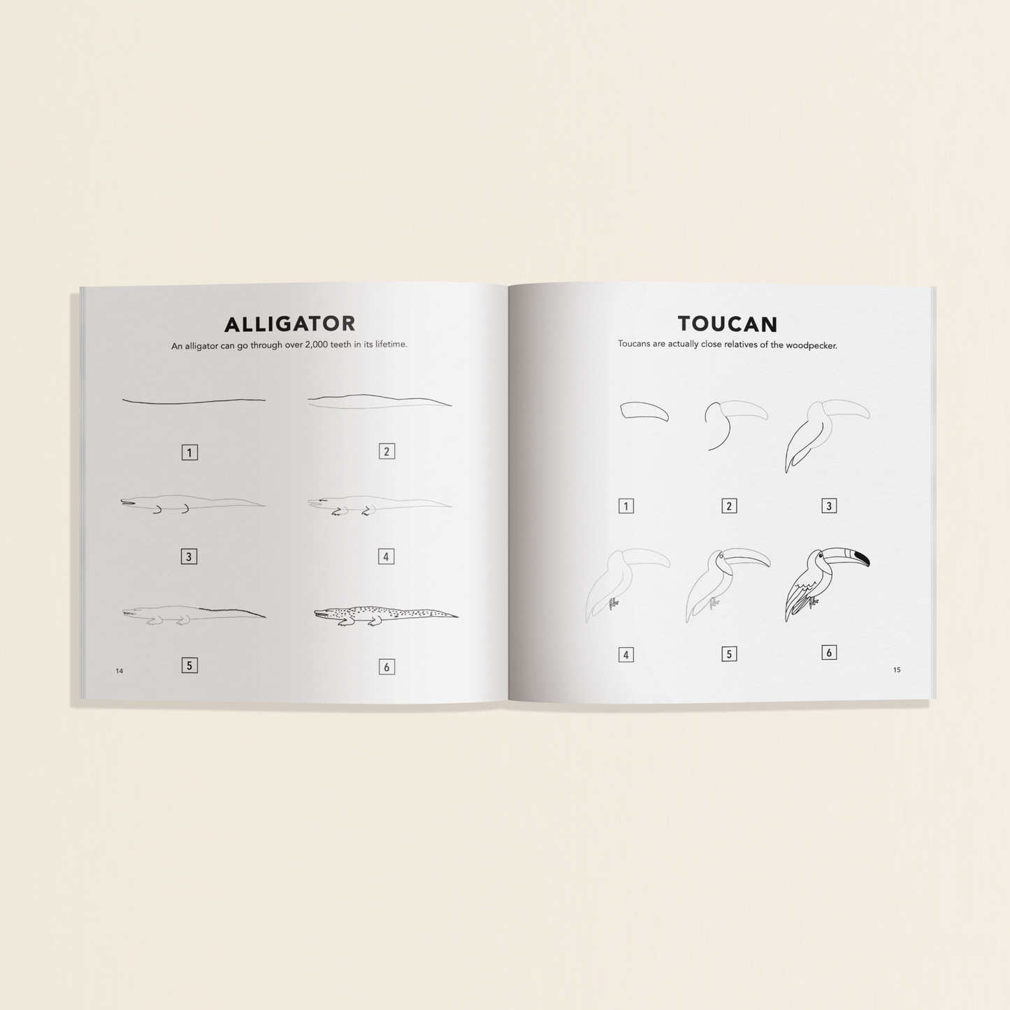 All The Animals: A How to Draw