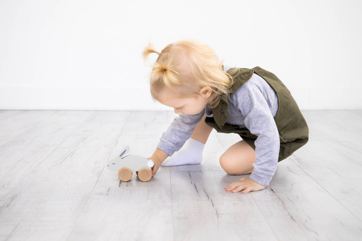Wooden Push Toy Bunny