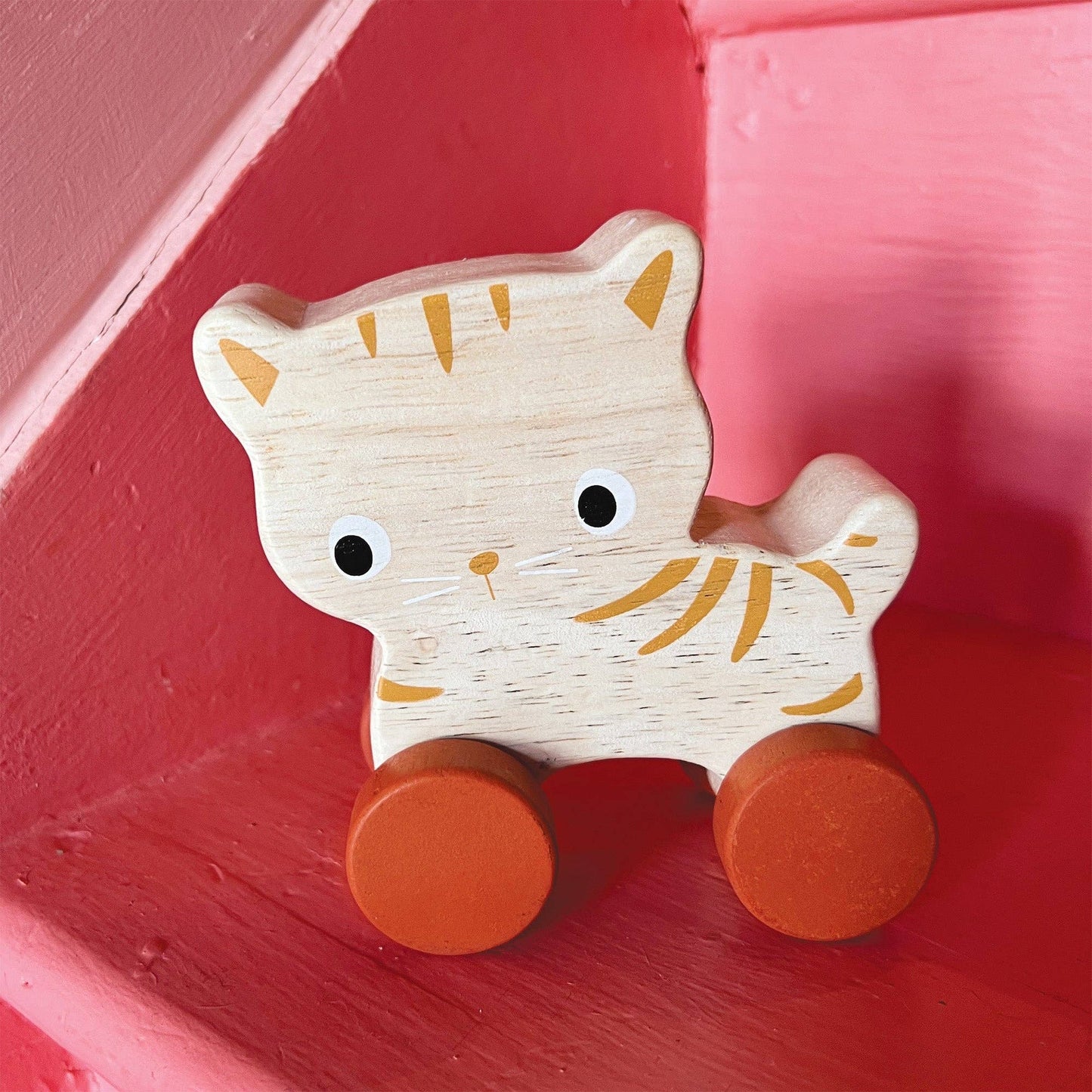 Kitty Cat Push Toy