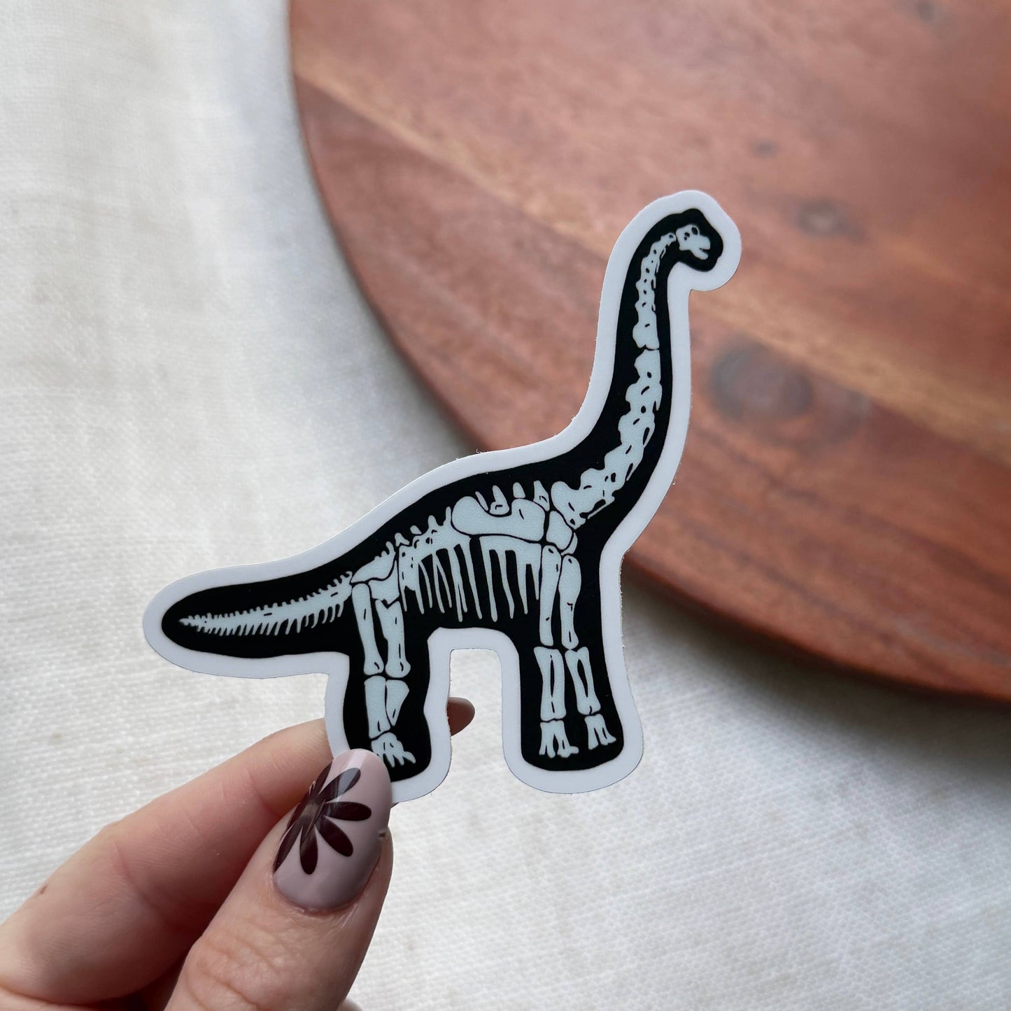 Brontosaurus Fossil Sticker