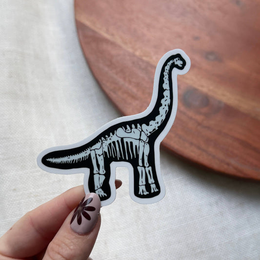 Brontosaurus Fossil Sticker