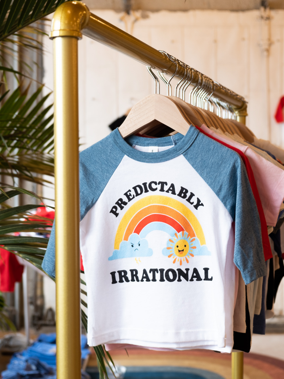 Predictably Irrational Raglan Tee