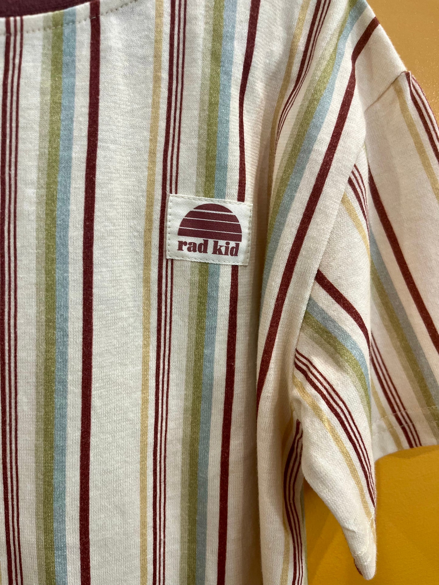 Rad Kid Stripe Hemp Tee