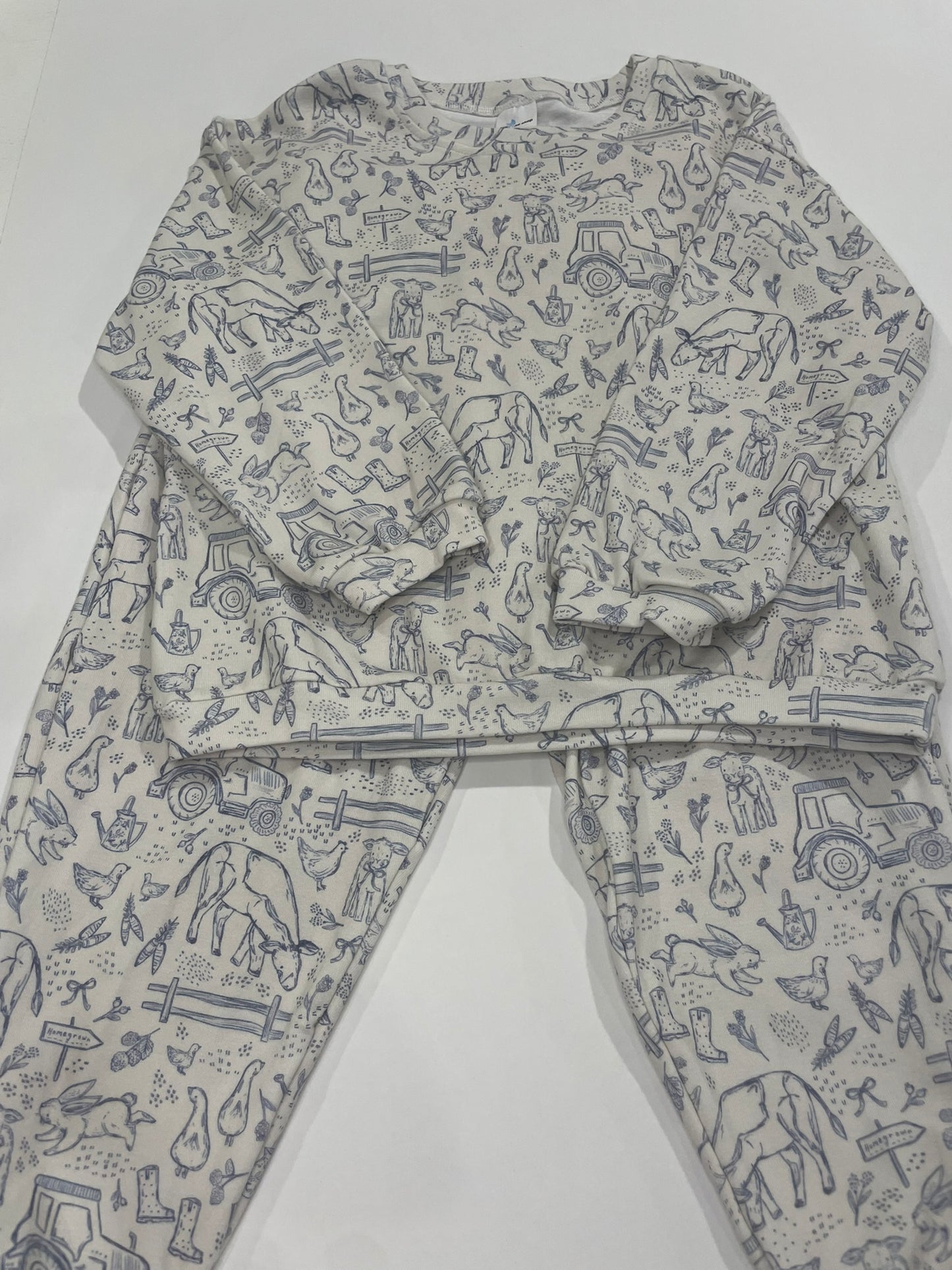Sweet Homestead Sweatsuit