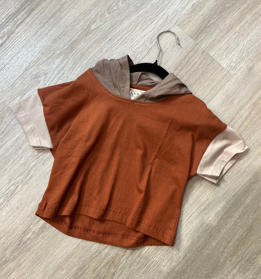 Color Blocked T-Shirt Hoodie