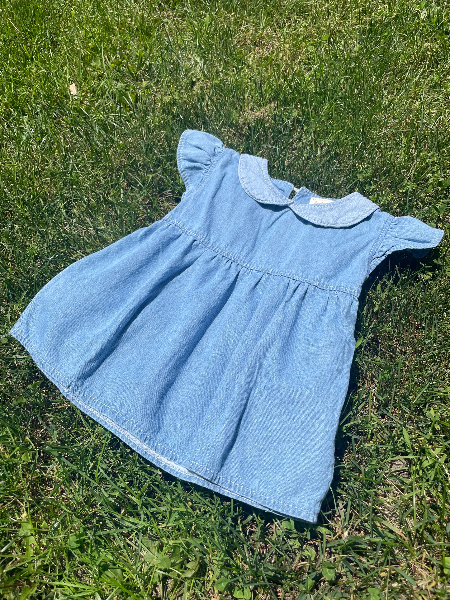 Tulip Denim Dress