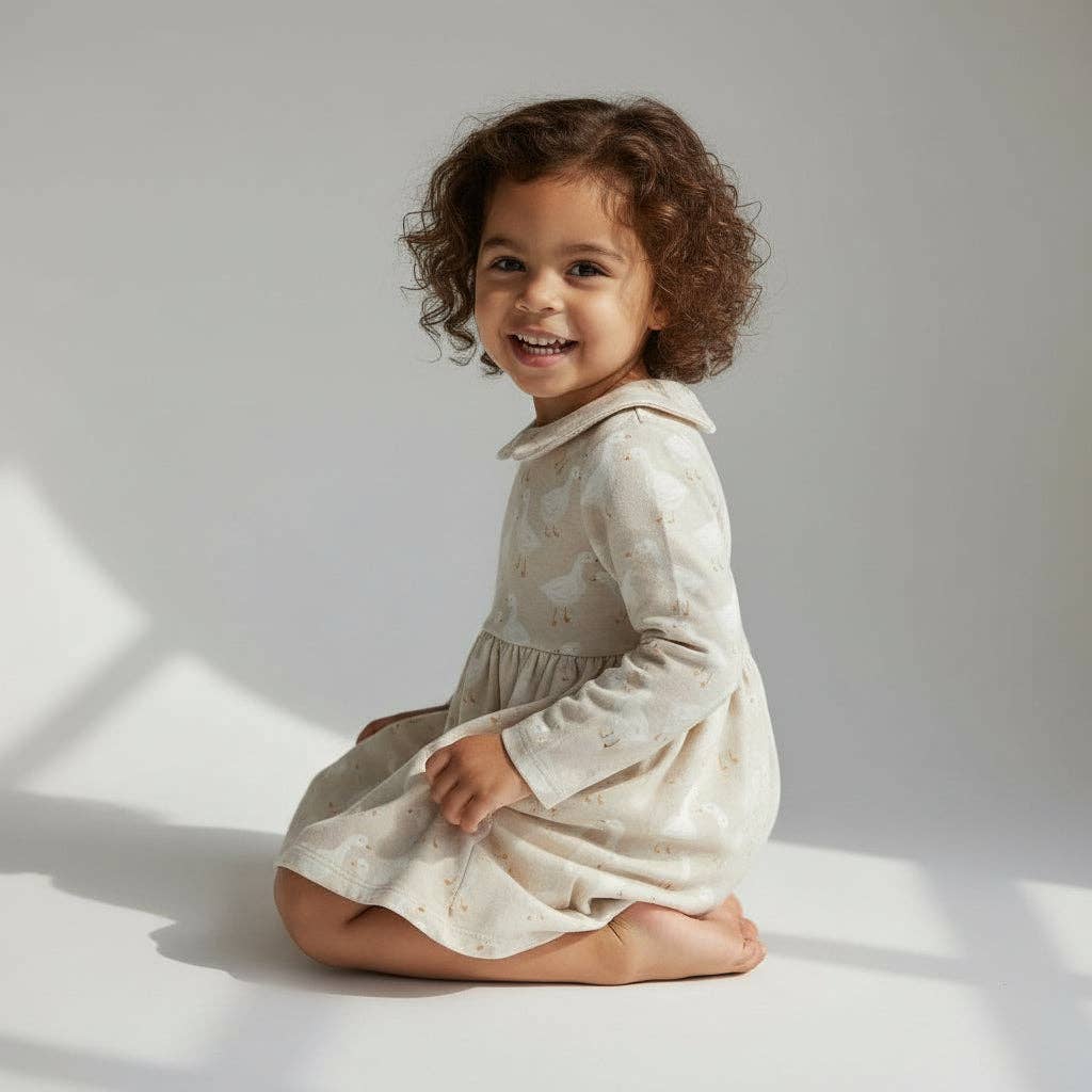 Silly Goose Dress