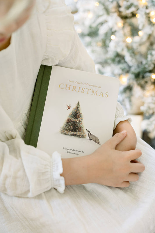 Our Little Adventure at Christmas book