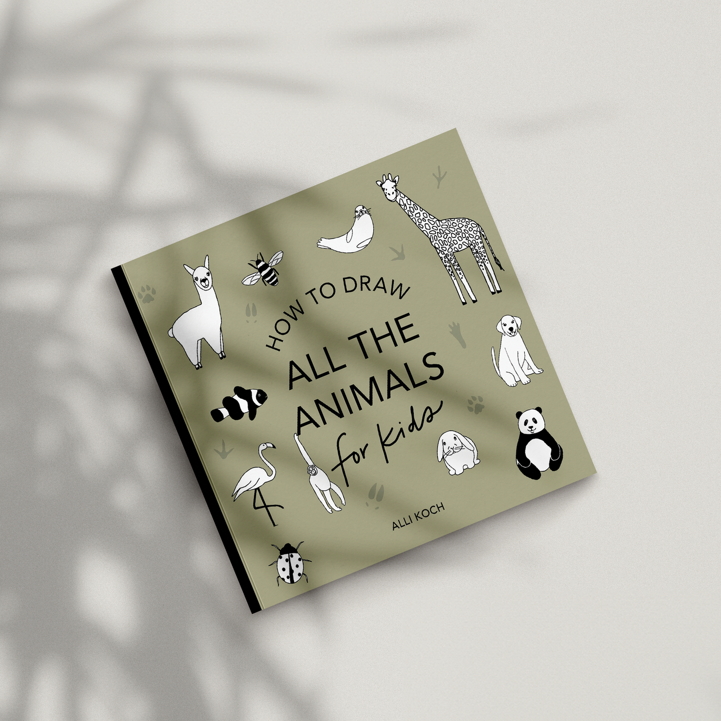 All The Animals: A How to Draw