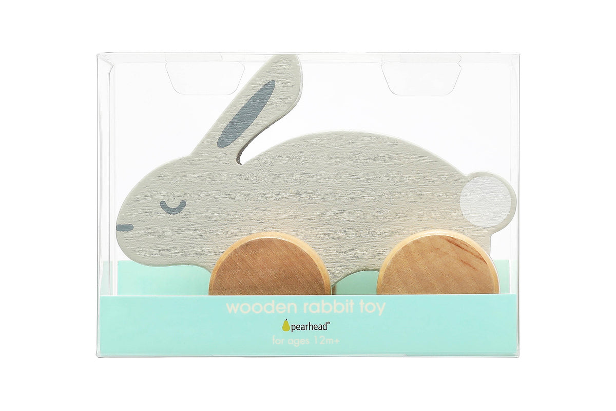 Wooden Push Toy Bunny