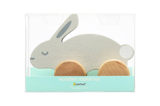 Wooden bunny push toy