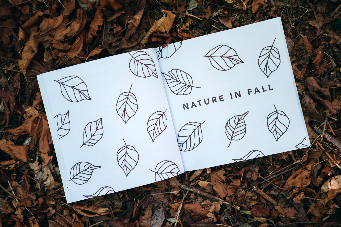 Fall Things: How to Draw