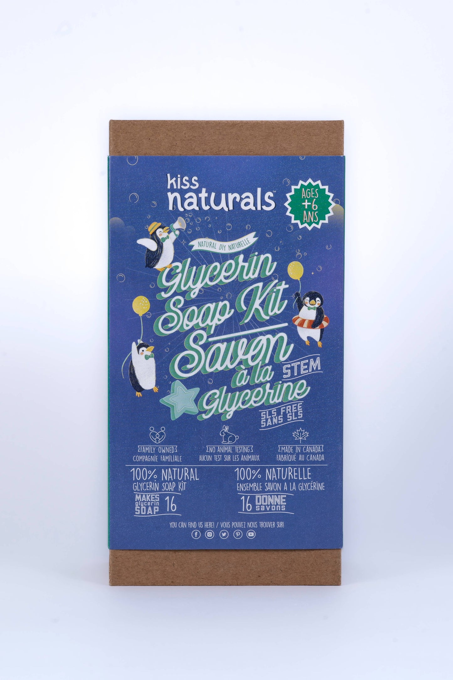 DIY Glycerin Soap Kit